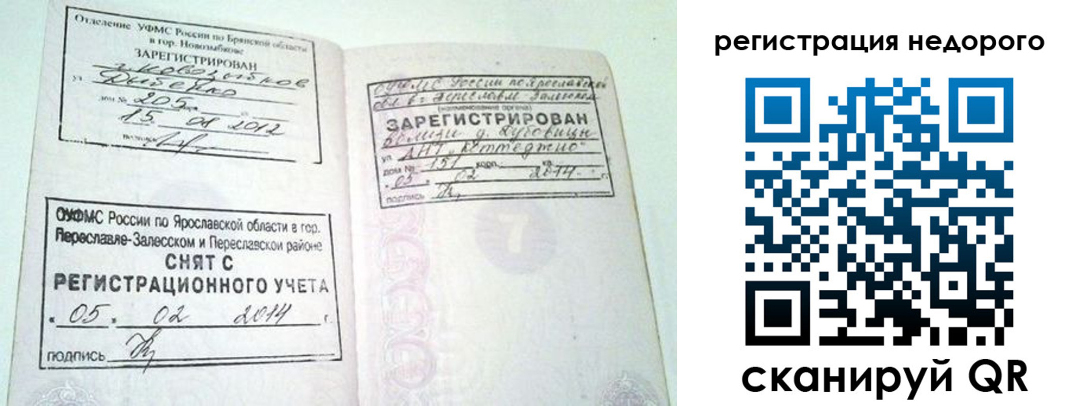 прописка поиск в Краснодарском крае